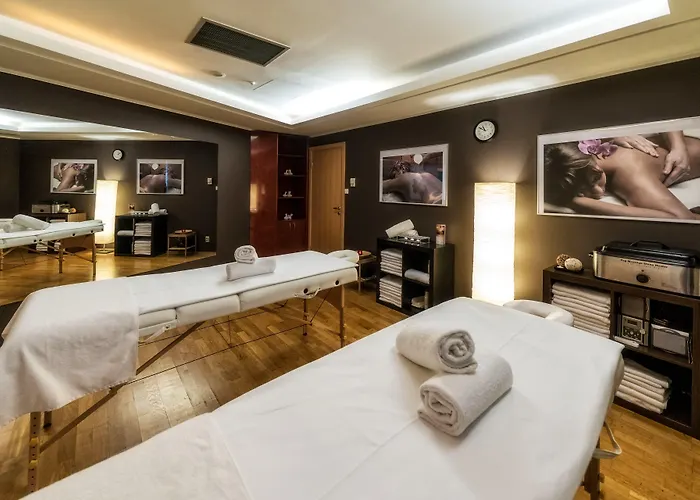 Hp Park Plaza Hotel Vratislav